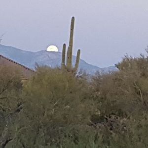 Meet your Posher, Sharon